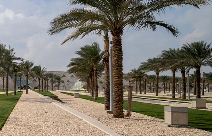 The Palm Garden Palm Garden